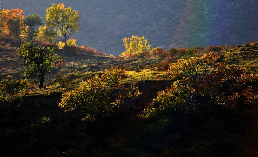 Autumn scene in Daqingshan Nature Reserve