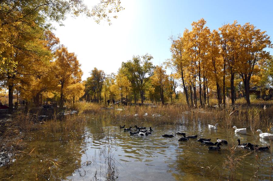 Autumn scenery of Badain Jaran Desert