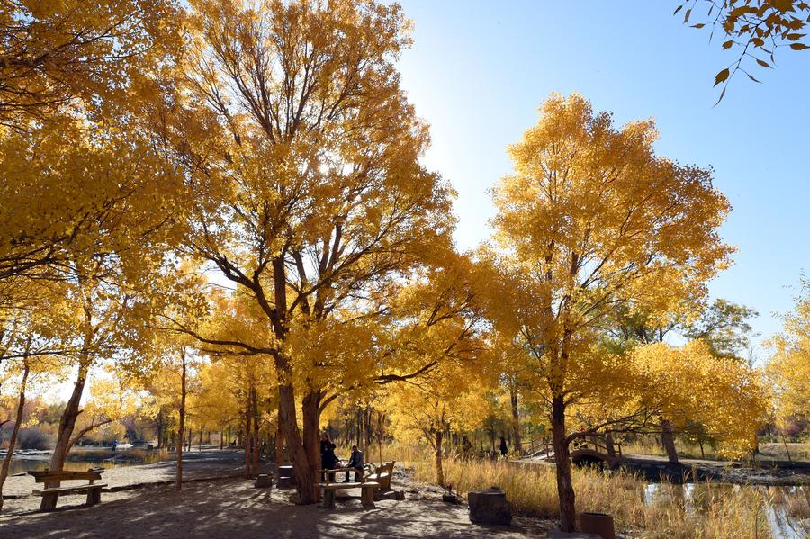 Autumn scenery of Badain Jaran Desert