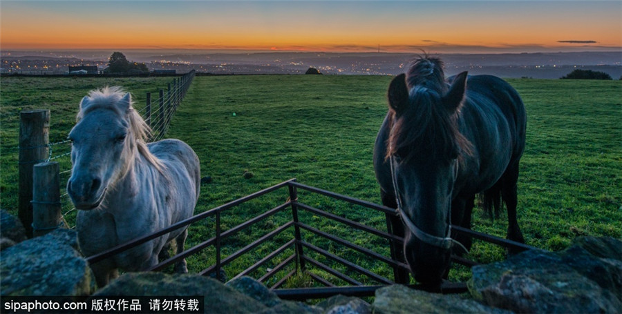 Autumn sees a myriad of colors across Britain