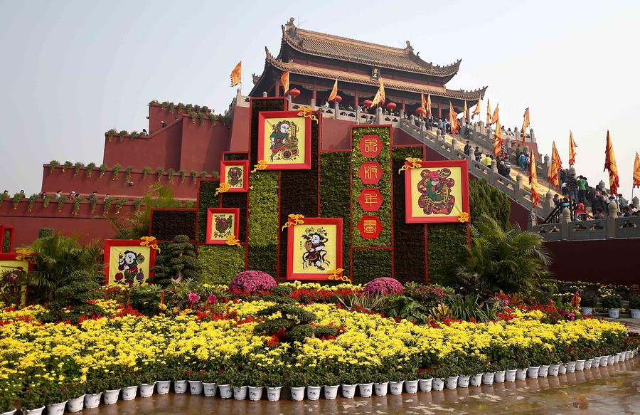 Autumn Chrysanthemums brighten ancient city