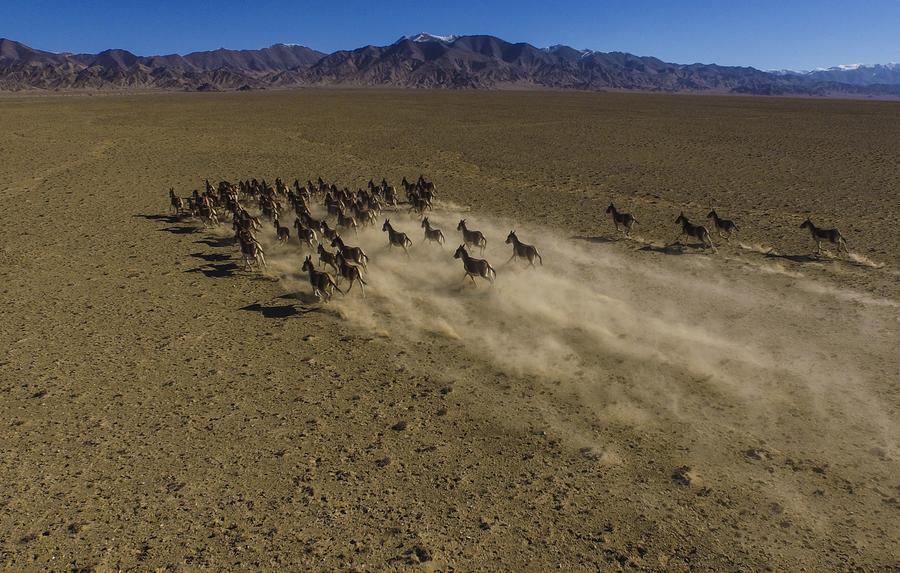 Scenery at Altun Mountains Nature Reserve in Xinjiang