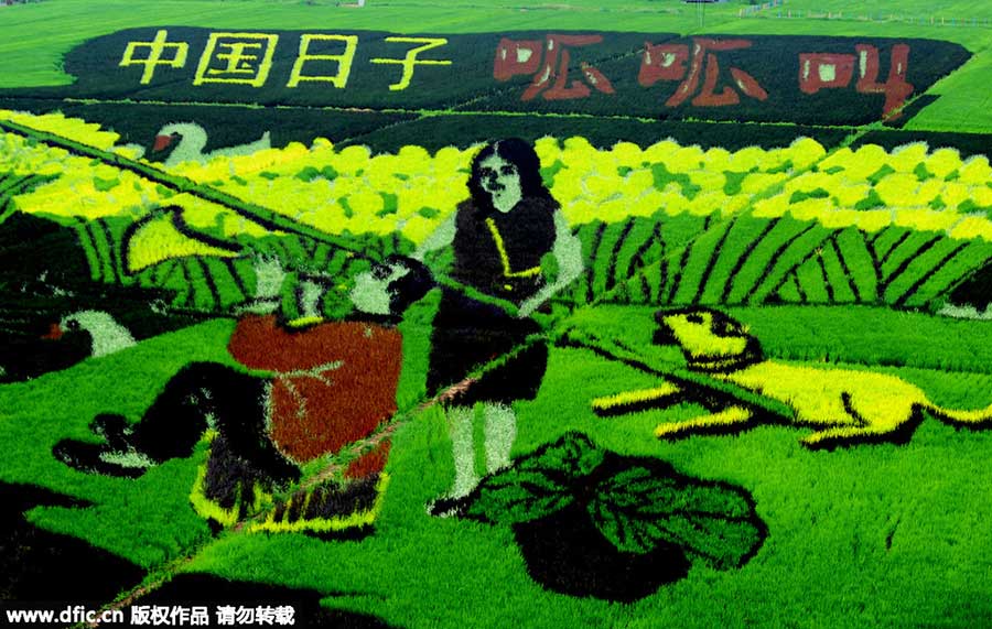 Amazing rice paddy art inspired from crops