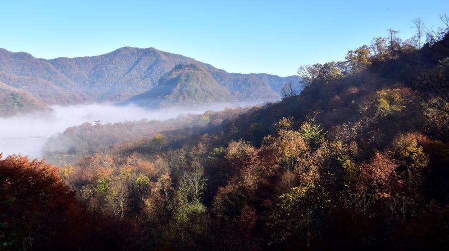 Autumn scenery in Shennongjia Dajiu Lake National Wetland Park