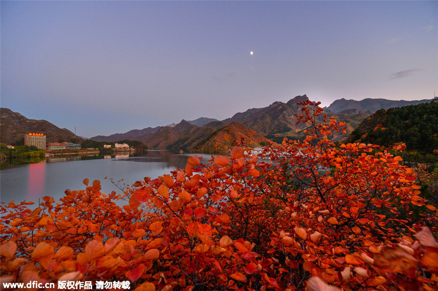 Late autumn views turn Beijing into scenic city