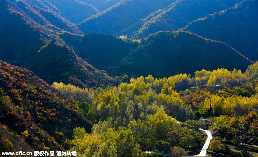 Late autumn views turn Beijing into scenic city