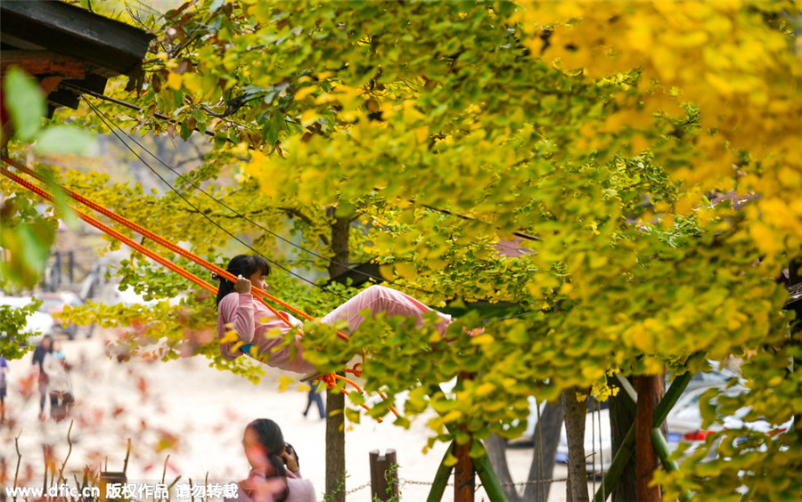 Late autumn views turn Beijing into scenic city