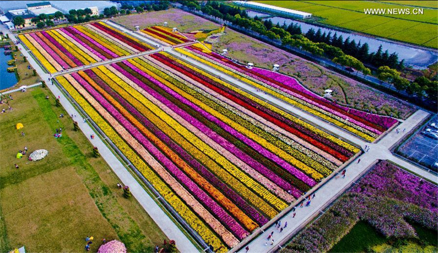 Bird's-eye view of colorful landscape in Shanghai