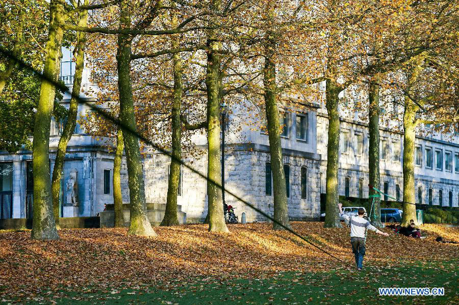 Time for embracing fall in Brussels