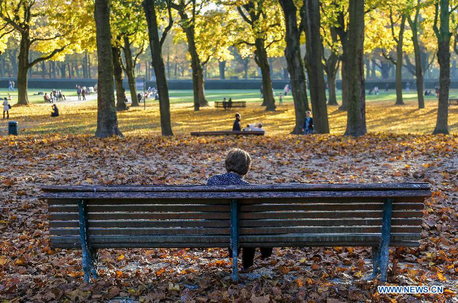 Time for embracing fall in Brussels