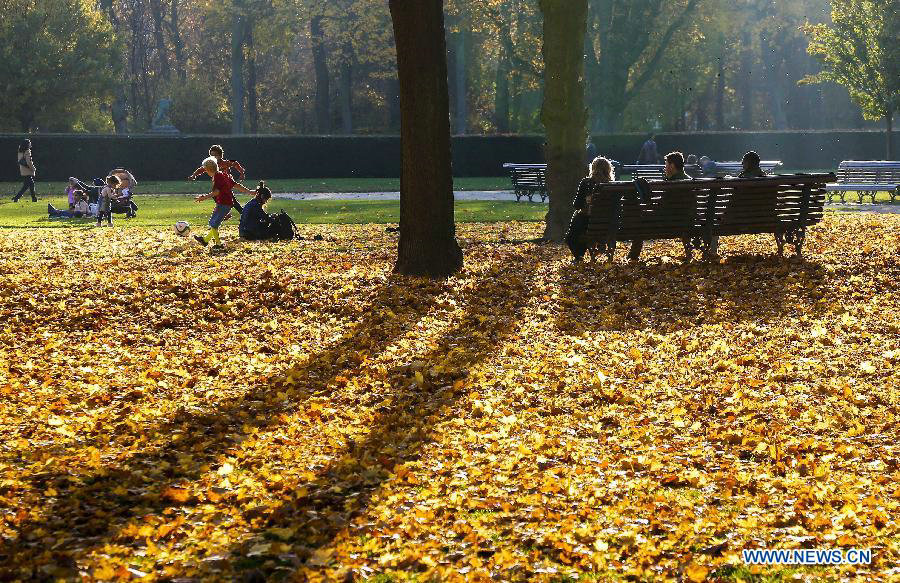 Time for embracing fall in Brussels