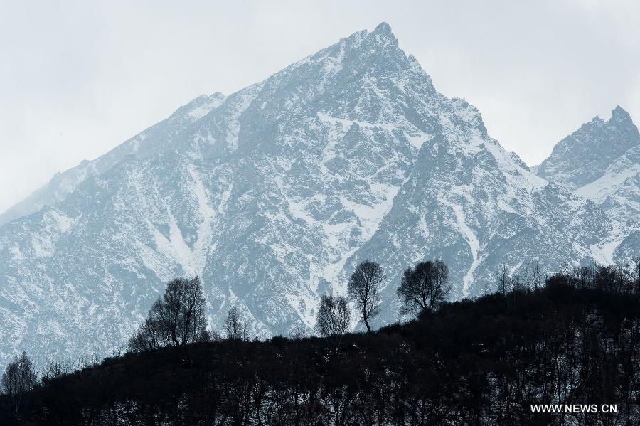 Snow cloak Qunjia National Forest Park as winter falls