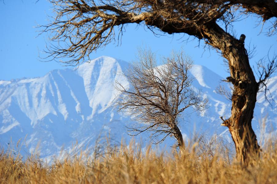 Winter scenery of Tianshan Mountain in Xinjiang