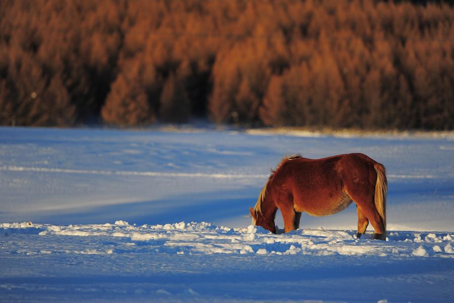 Winter scenery of Tianshan Mountain in Xinjiang