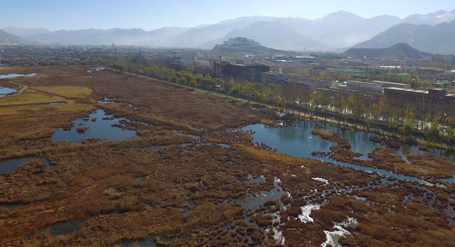 Lhalu wetland: highest natural wetland in China