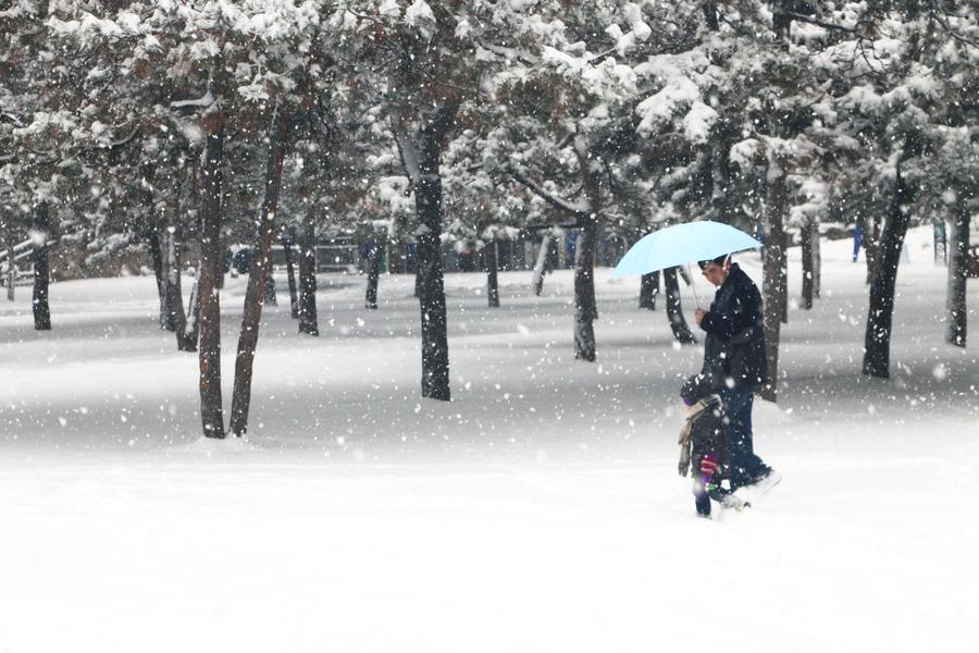 Snowfall witnessed in N China