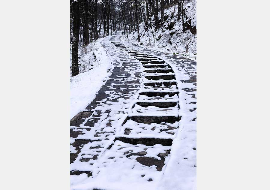 Winter beauty in Zhushan National Park, Qingdao