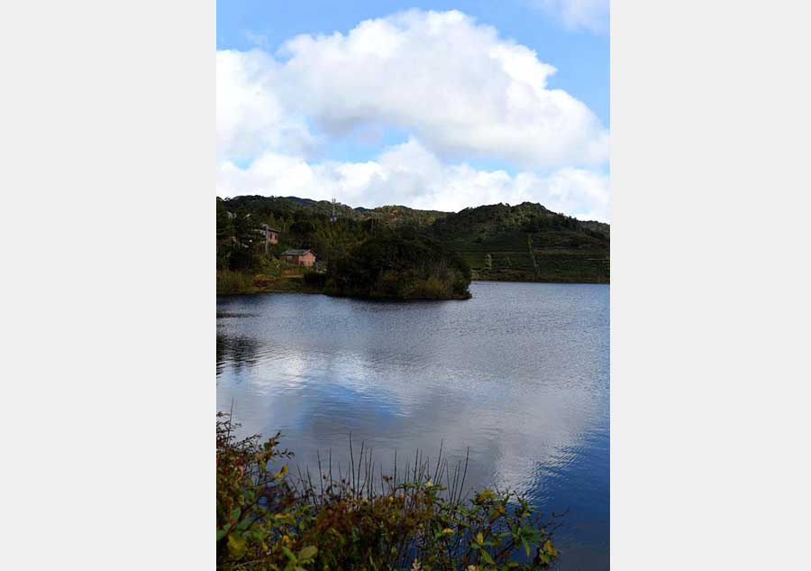 Winter scenery of the Ailao and Wuliang Mountain Nature Reserve