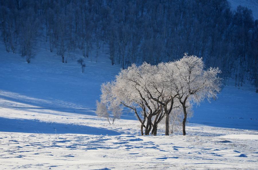 Rime scenery on prairie in Inner Mongolia