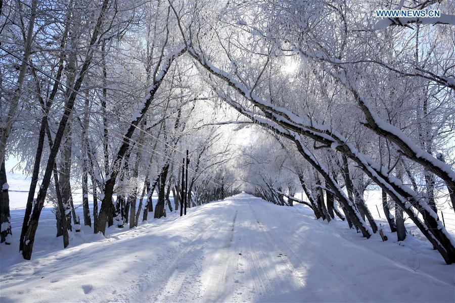 Gorgeous rime scenery in China's Xinjiang