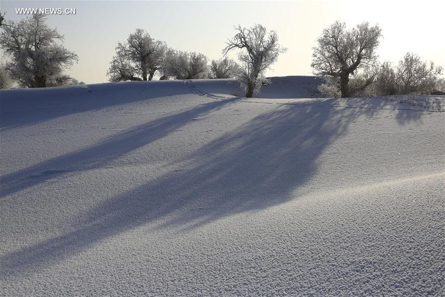 Rime scenery in Taklimakan Desert, NW China's Xinjiang