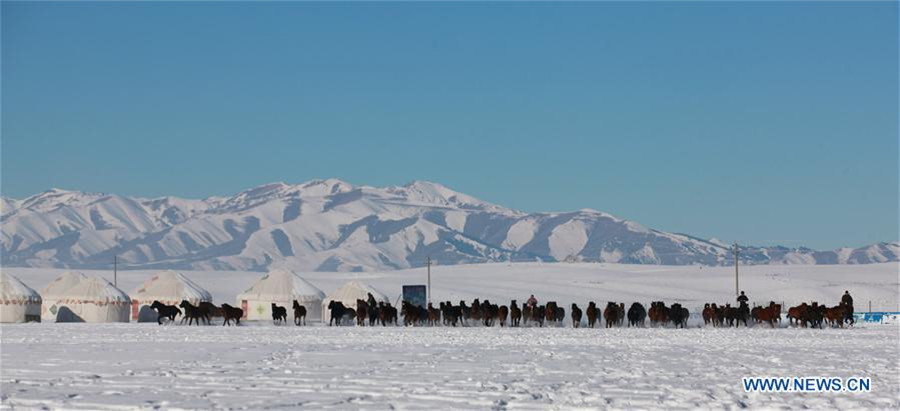 Zhaosu county: 'Hometown of Pegasus' in Northwest China's Xinjiang