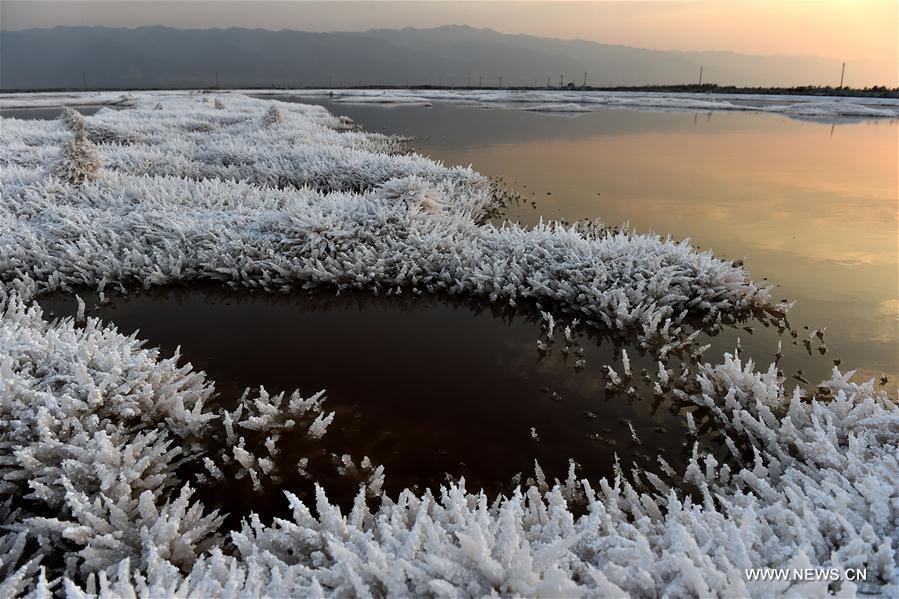 Scenery of Salt Lake in Shanxi