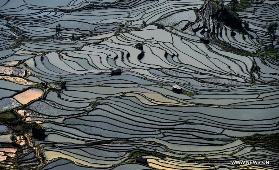 Wonder of farming civilization: Hani terraces in Yunnan