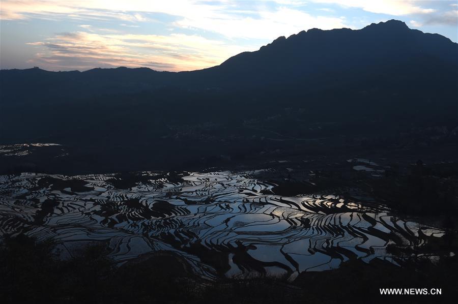 Wonder of farming civilization: Hani terraces in Yunnan