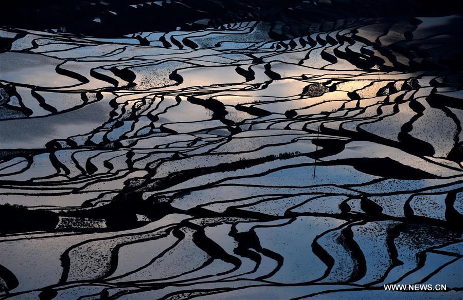 Wonder of farming civilization: Hani terraces in Yunnan