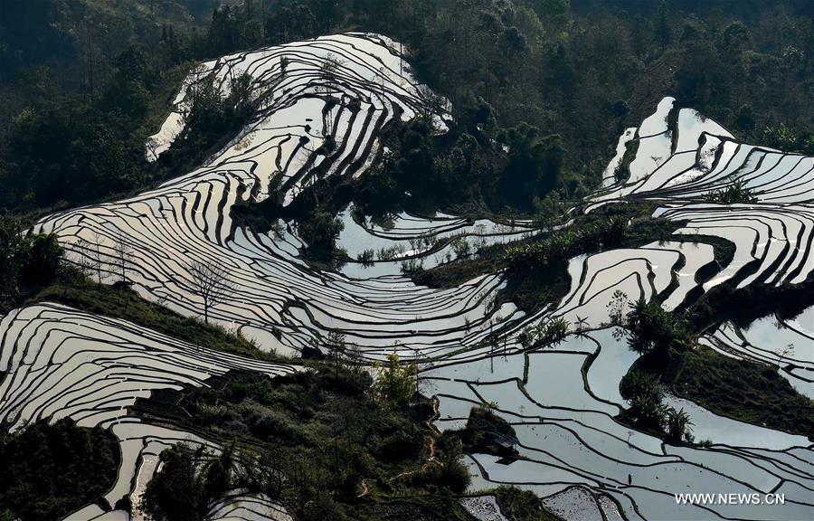 Wonder of farming civilization: Hani terraces in Yunnan