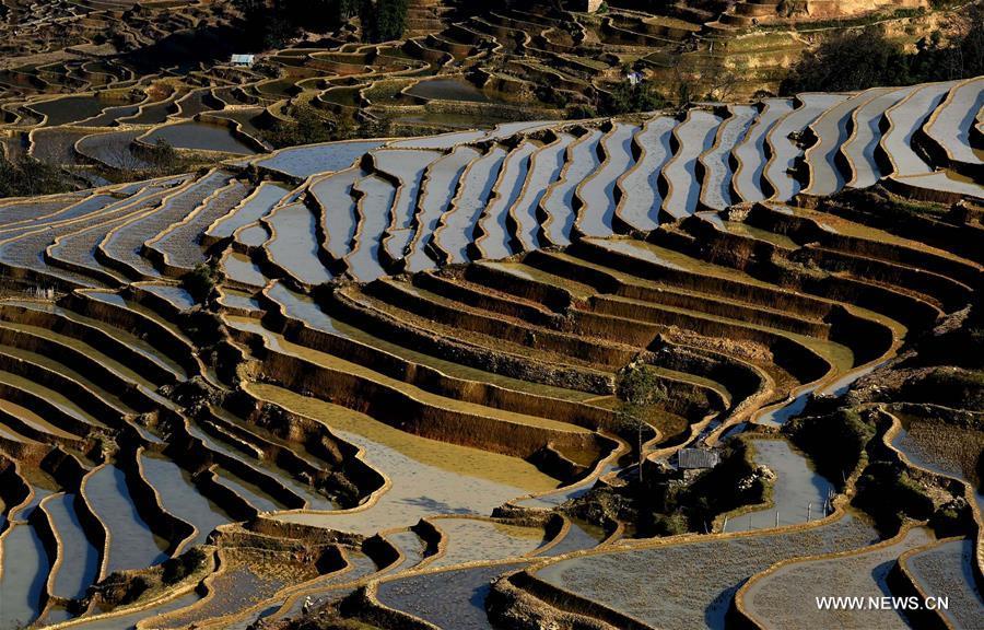 Wonder of farming civilization: Hani terraces in Yunnan