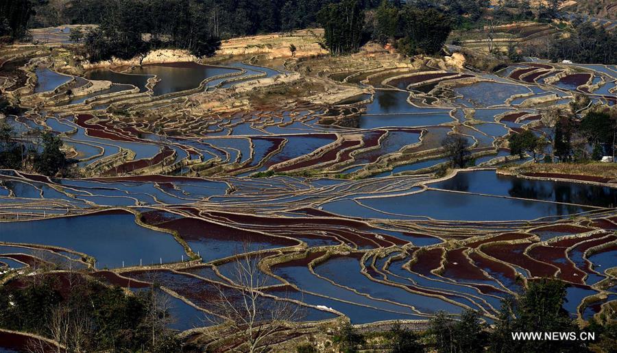 Wonder of farming civilization: Hani terraces in Yunnan