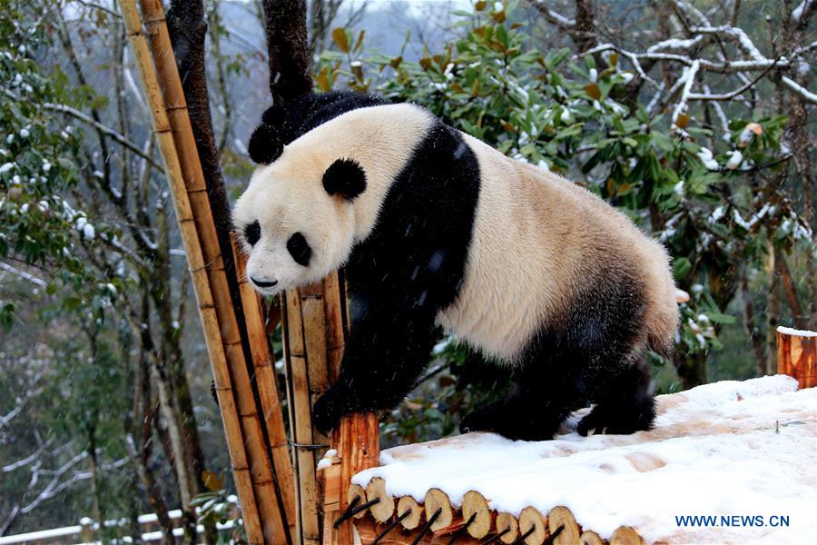 Snow scenery across China