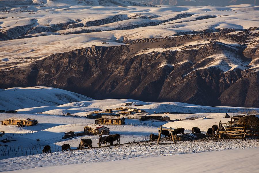 Villagers in Tianshan mountains live traditional nomadic life
