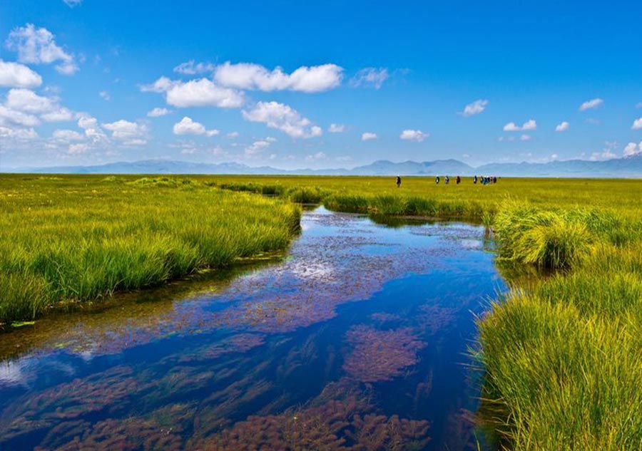 China's most beautiful wetlands