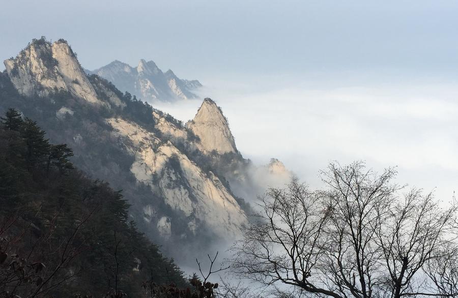 Sea of clouds in Yaoshan Mountain in Henan