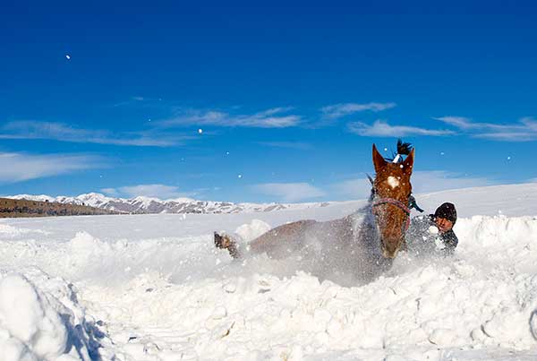 Snow draws millions to Xinjiang