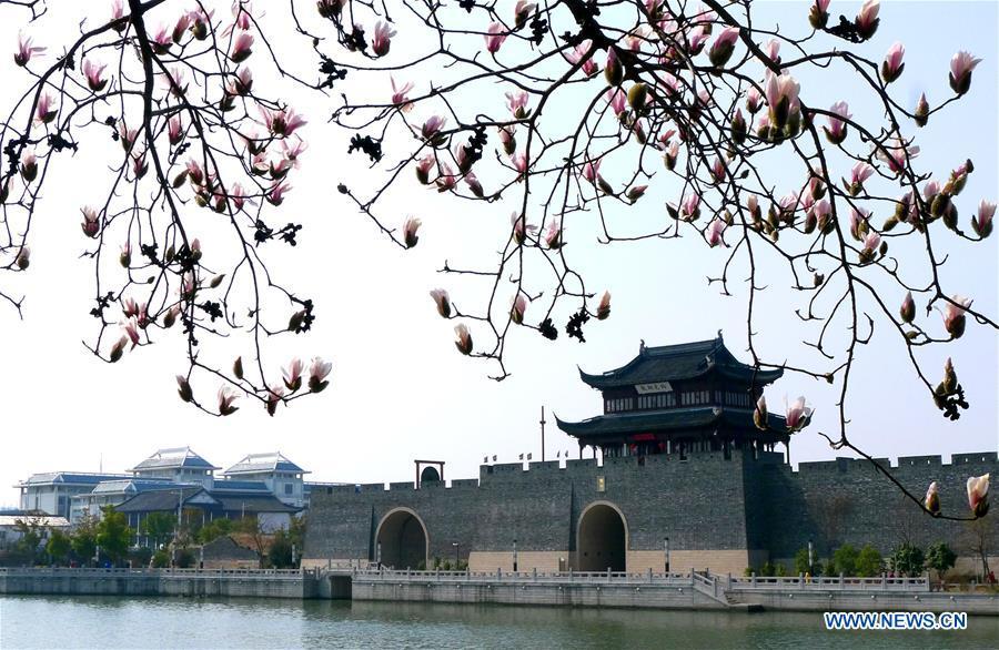 Sweet flowers embraces spring in Jiangsu