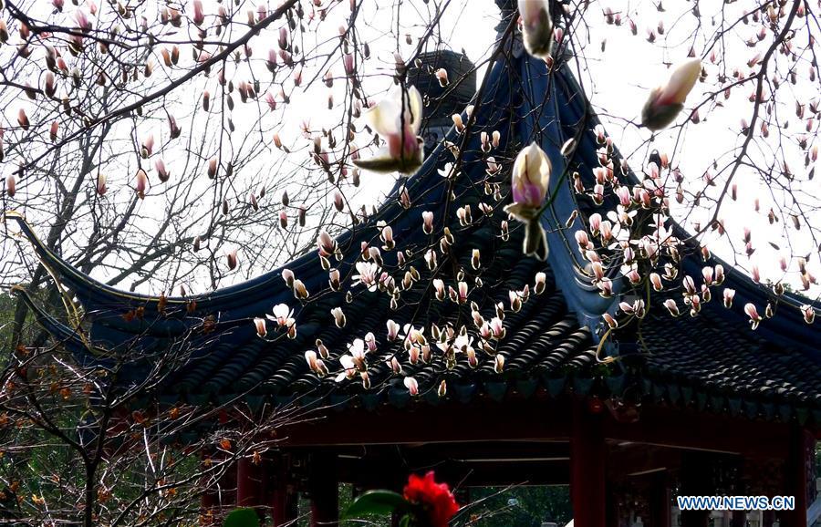 Sweet flowers embraces spring in Jiangsu