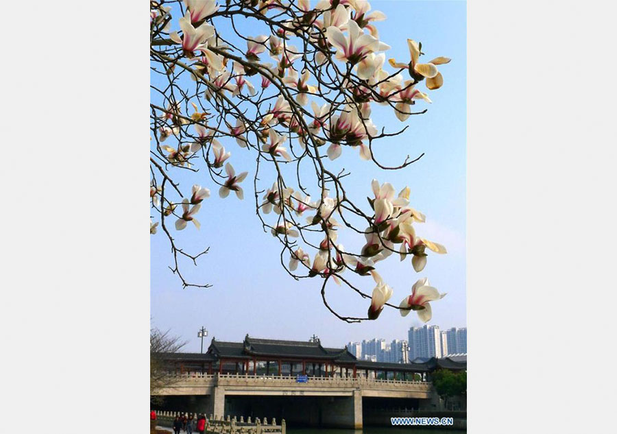 Sweet flowers embraces spring in Jiangsu