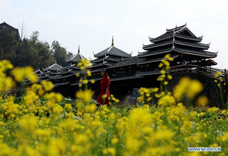 Spring scenery across China