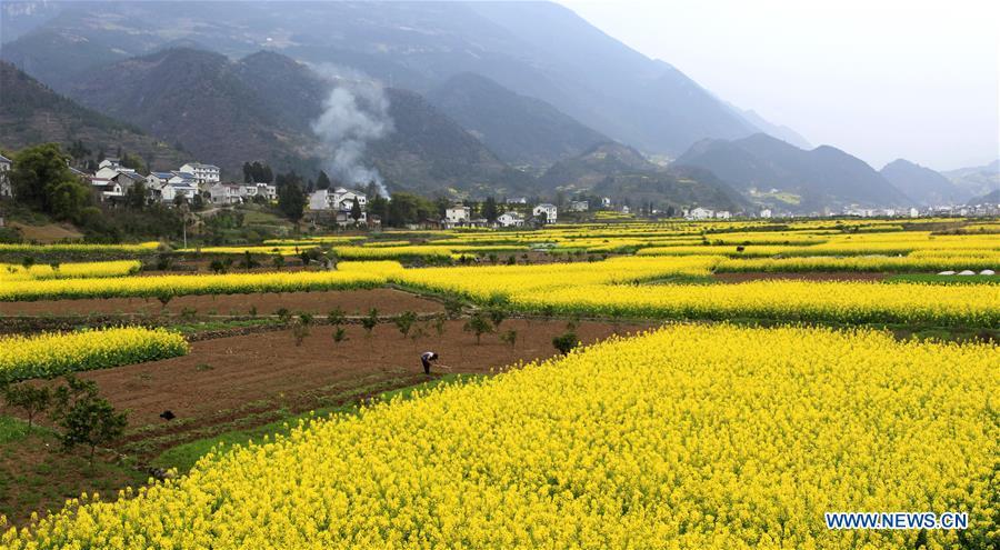 Spring scenery in C China