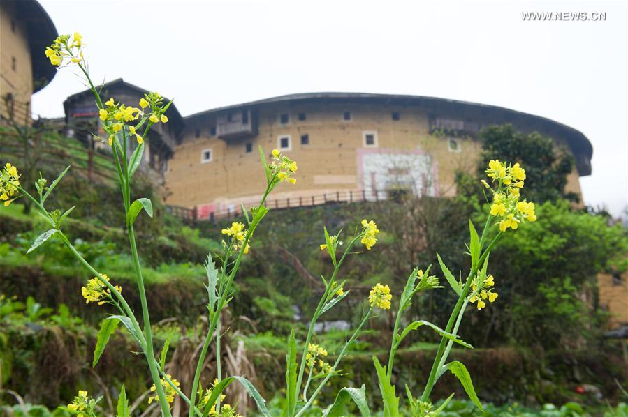 View of Fujian Tulou in SE China