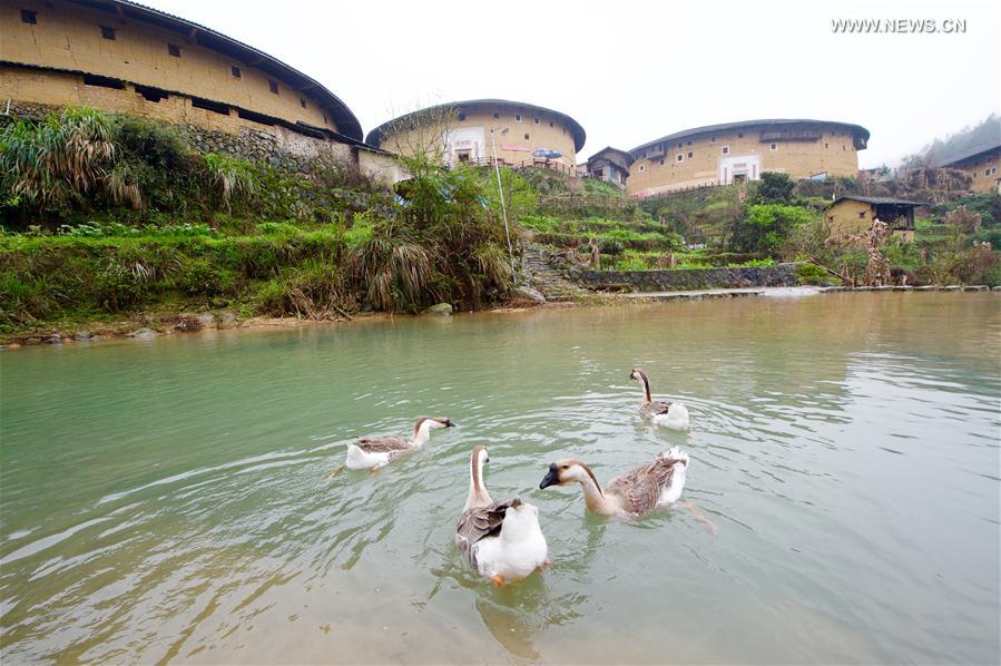 View of Fujian Tulou in SE China