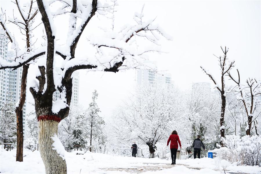 Snowfall hits most parts of Qinghai in NW China