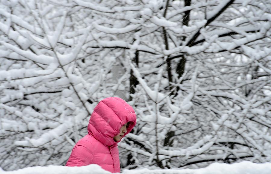 Snowfall hits most parts of Qinghai in NW China