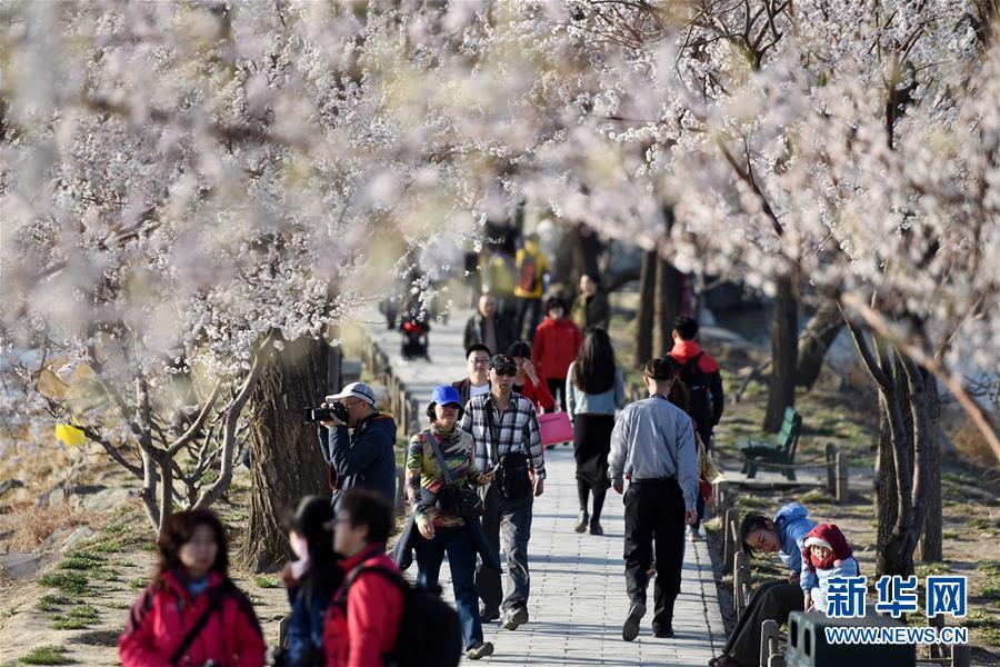 Spring scenery of Summer Palace in Beijing