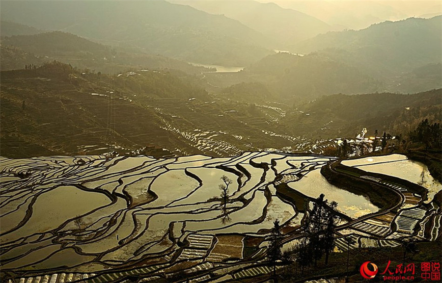 Magnificent view of Hani terraced fields in SW China