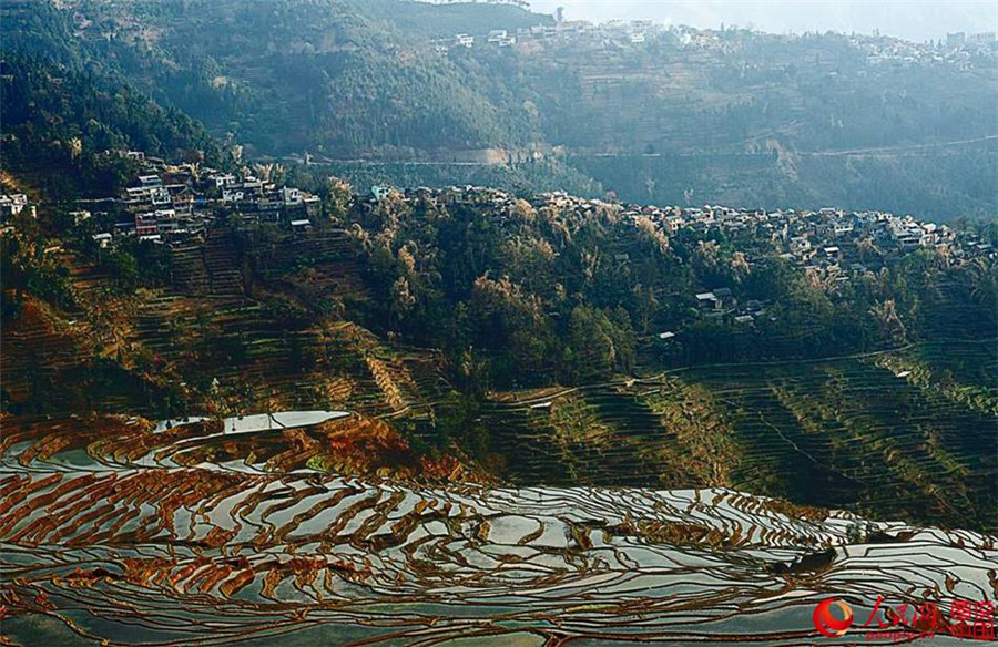 Magnificent view of Hani terraced fields in SW China